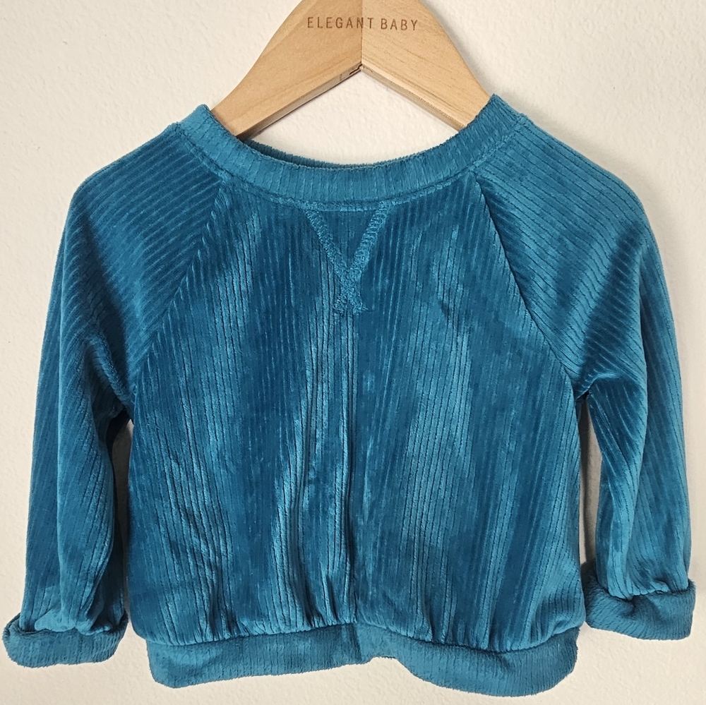 Teal Toddler Velour Shirt And Pants Set